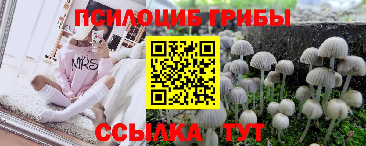 Пушкино  Псилоцибиновые грибы Magic Shrooms  Вход с VPN 